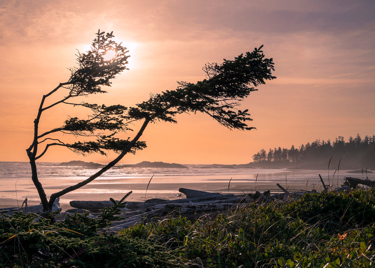 Sunset & Light Photography