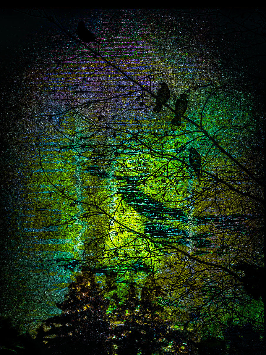 2496680 :: Giclée Fine Art Matte Paper Print