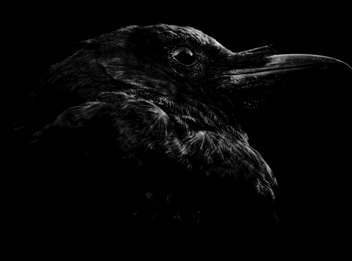 2496675 :: Giclée Fine Art Matte Paper Print