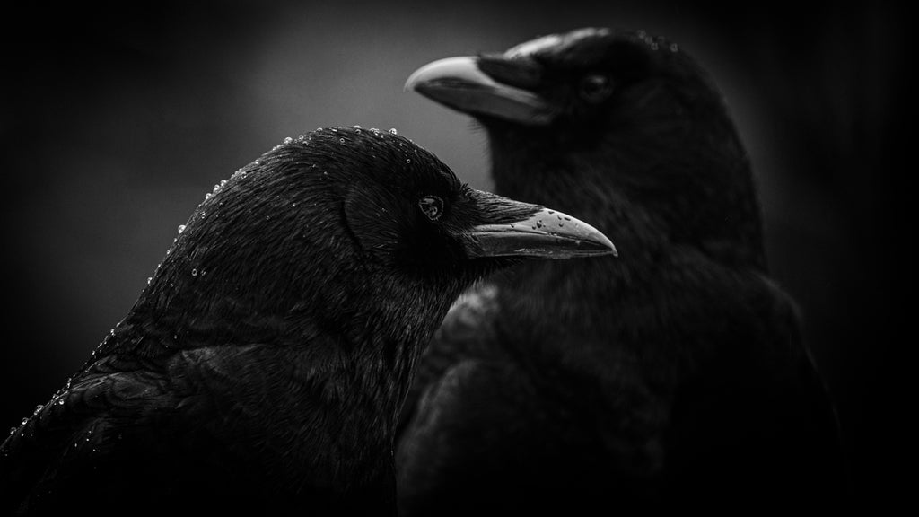 2226309 :: Giclée Rolled Canvas Print