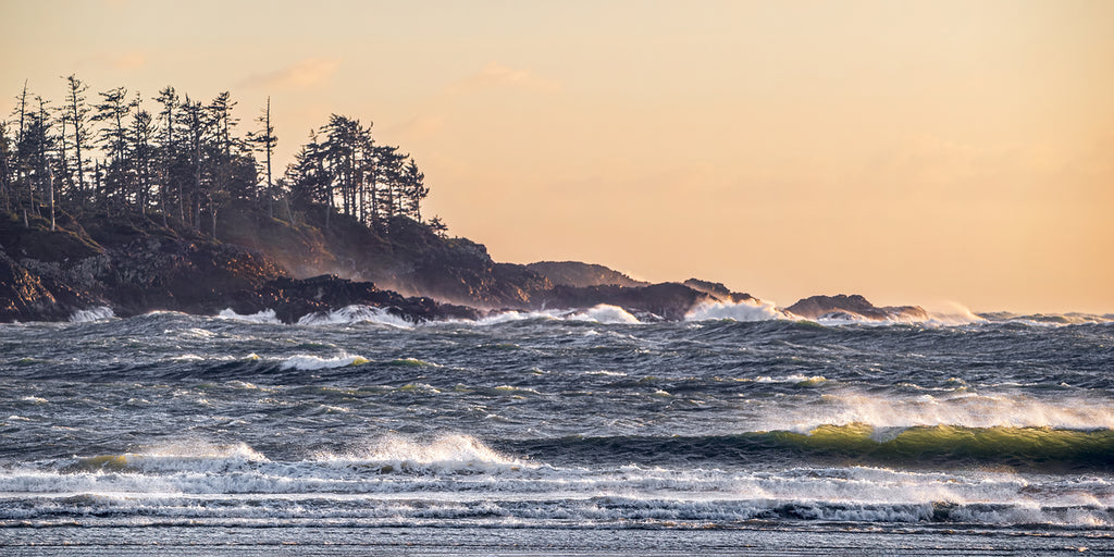 1927012 :: Giclée Rolled Canvas Print