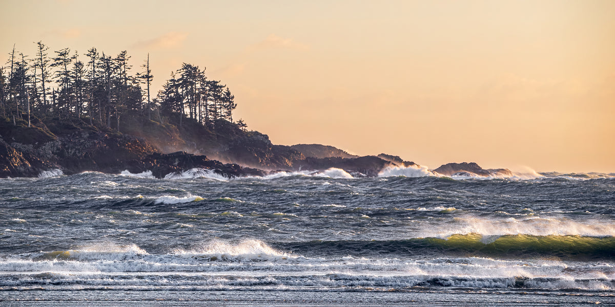 1927012 :: Giclée Rolled Canvas Print