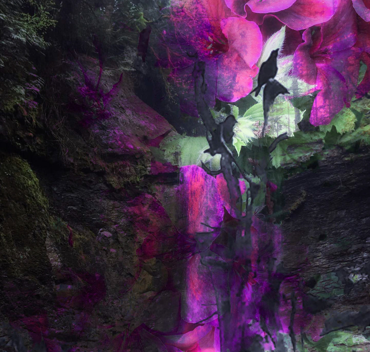 2496348 :: Giclée Fine Art Matte Paper Print