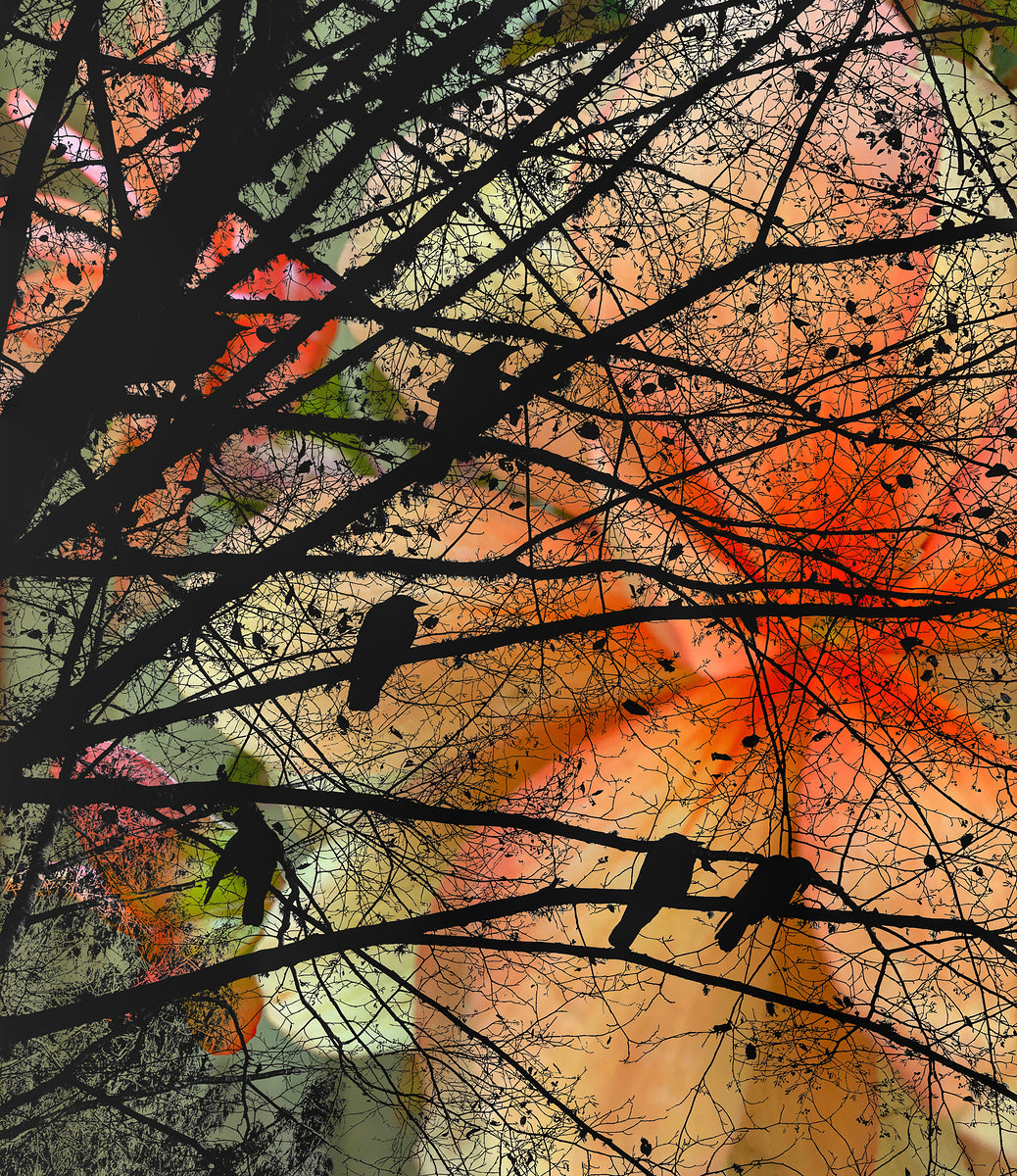 2496673 :: Giclée Fine Art Matte Paper Print