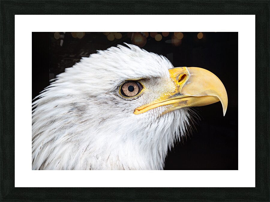 1926991 :: Framed Print