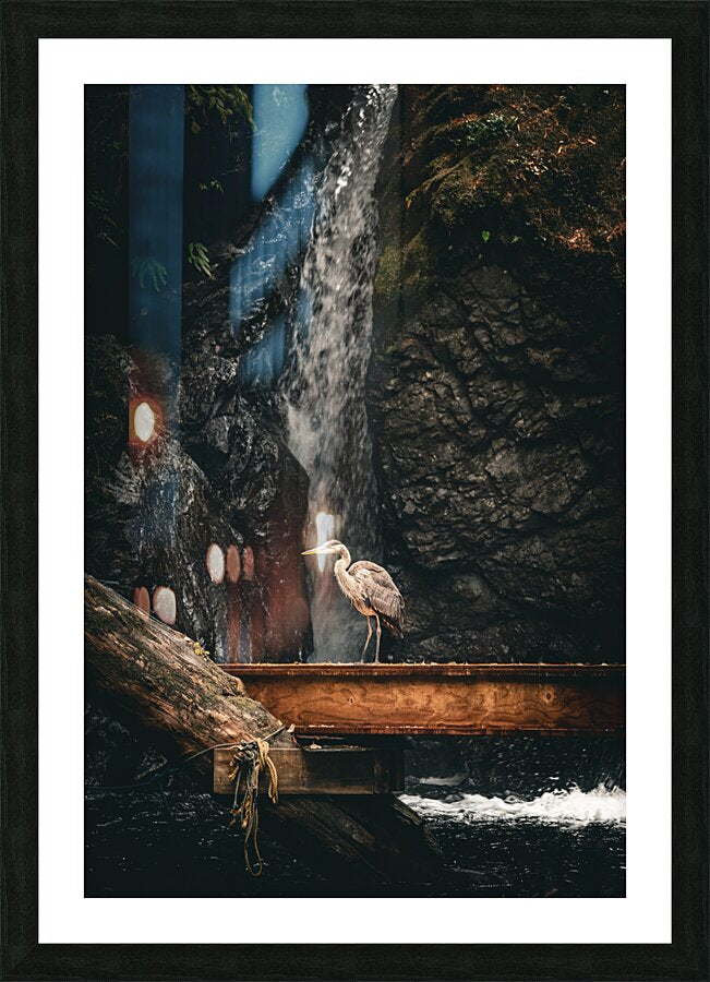 1927011 :: Framed Print