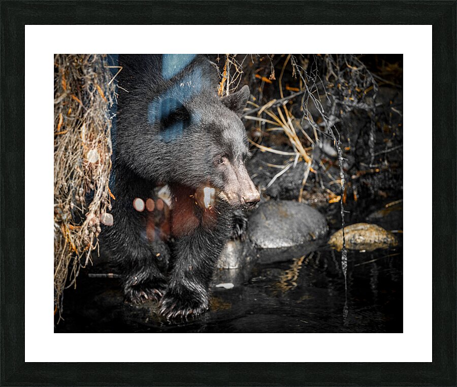 1927019 :: Framed Print