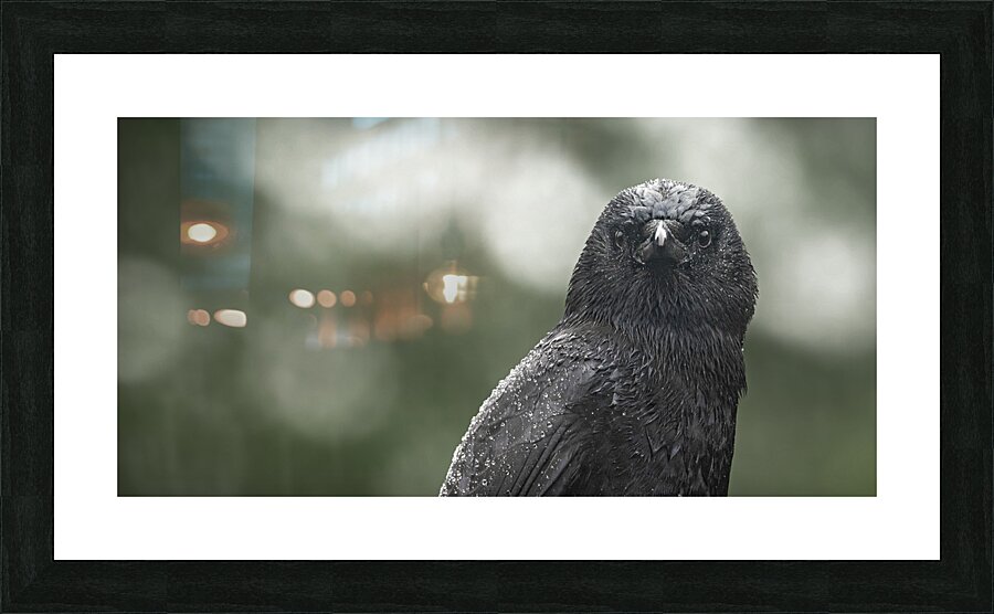 1927323 :: Framed Print