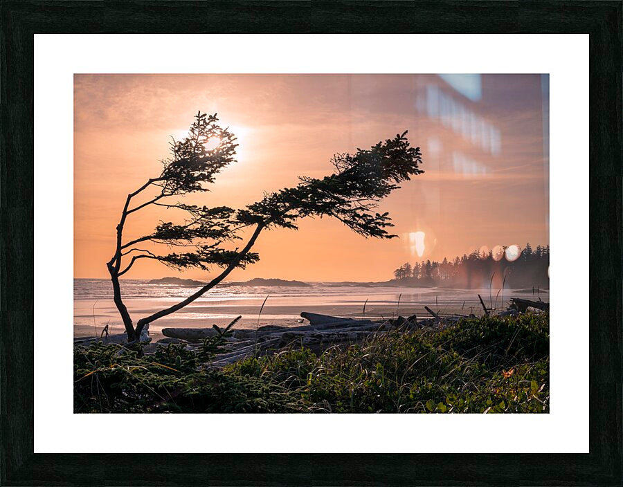 2162530 :: Framed Print