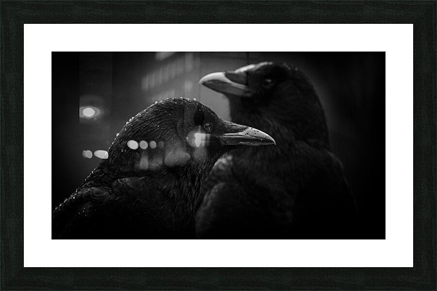 2226309 :: Framed Print