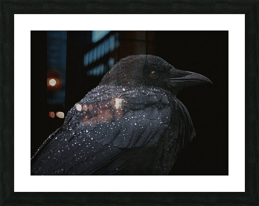 2460568 :: Framed Print