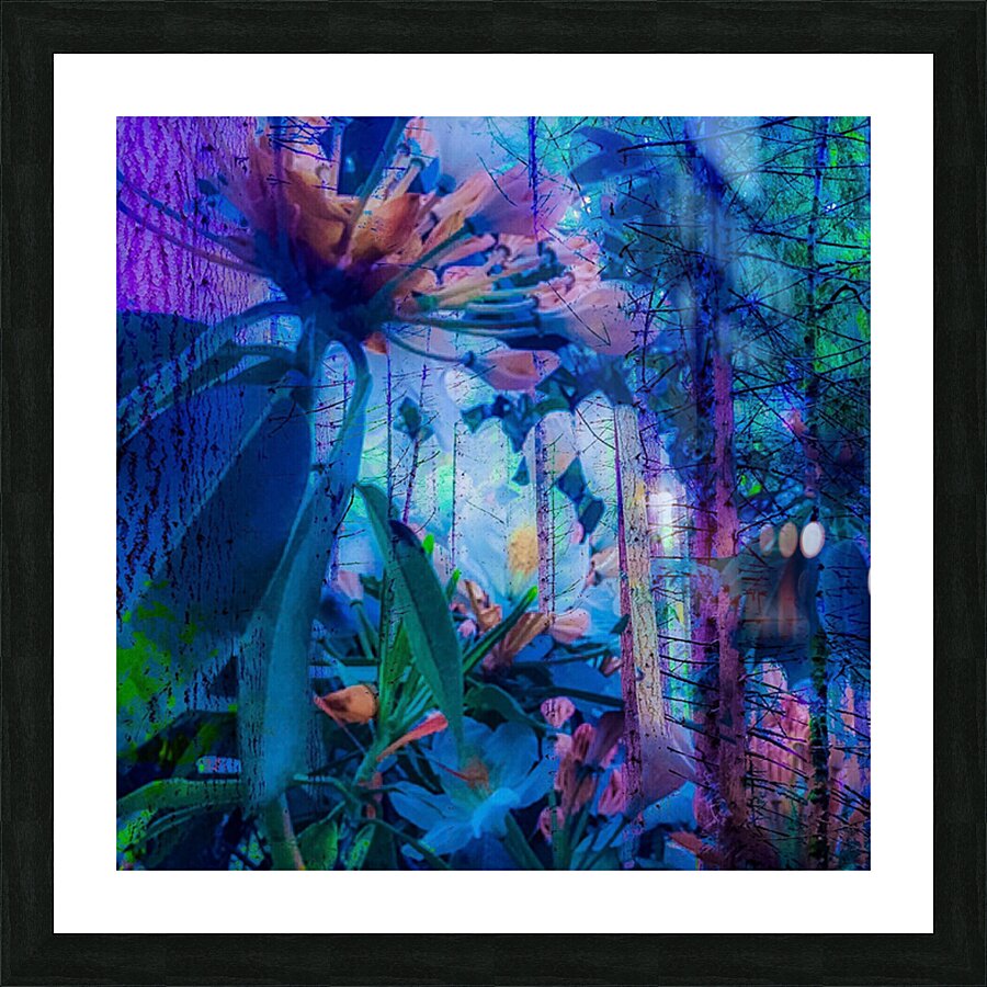 2496057 :: Framed Print