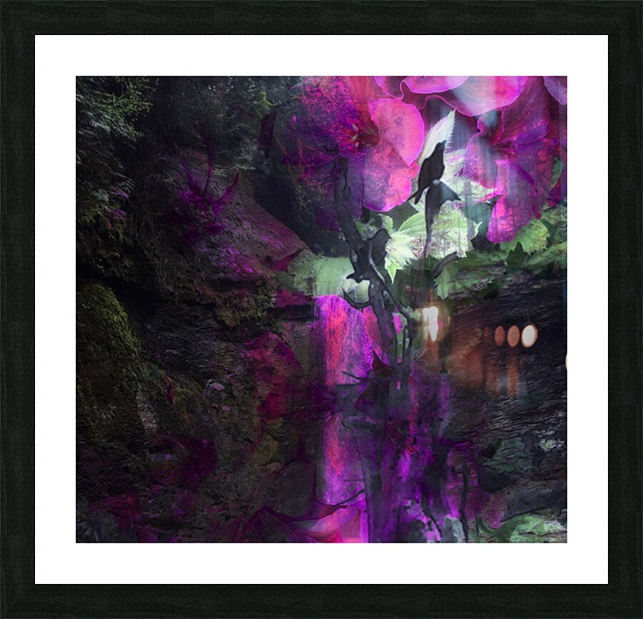2496348 :: Framed Print