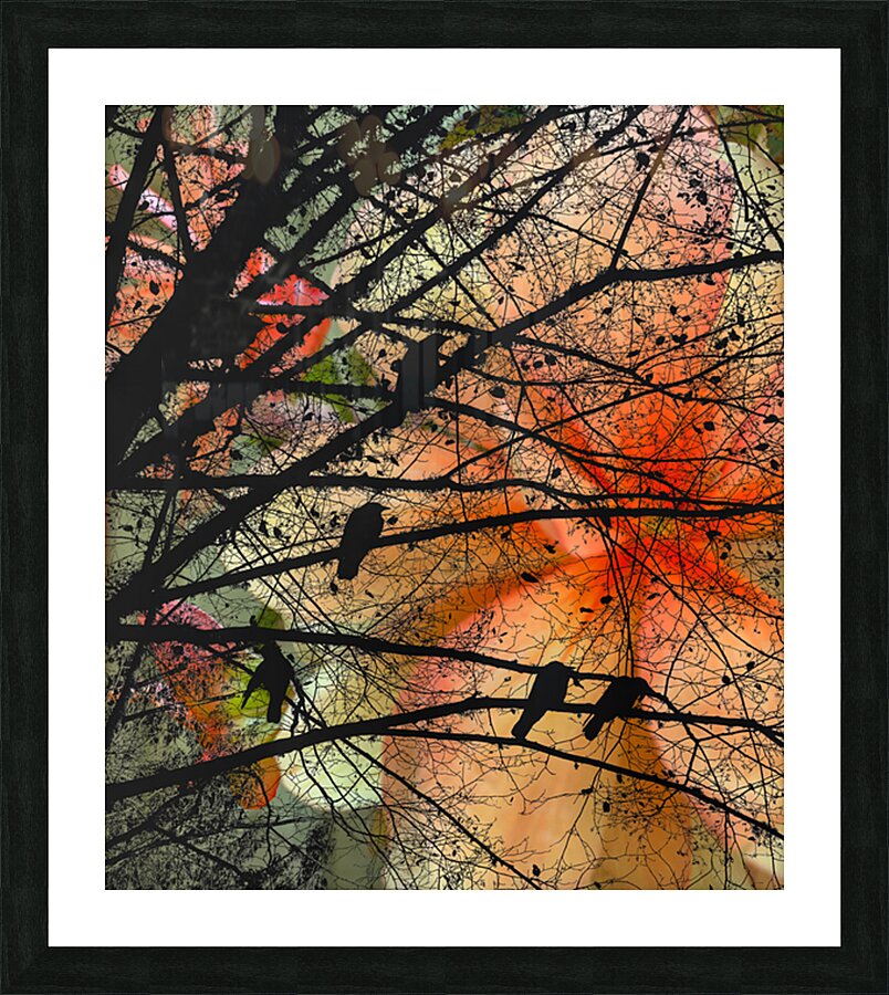 2496673 :: Framed Print
