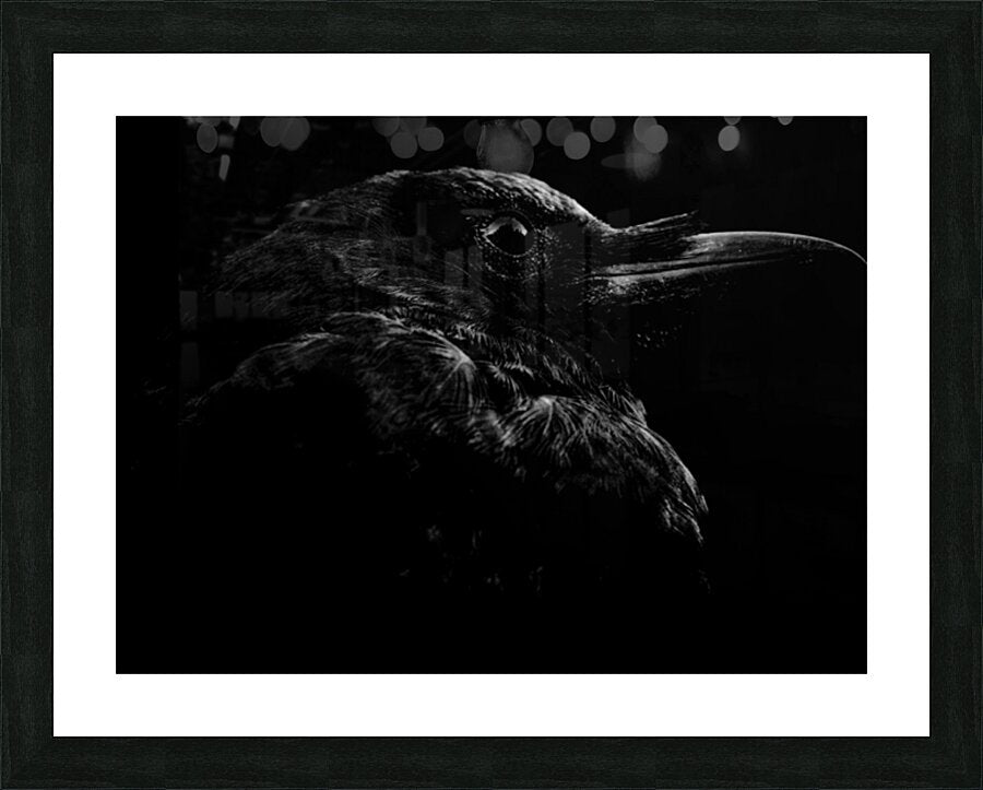 2496675 :: Framed Print