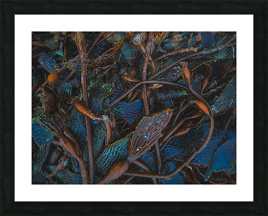 2496713 :: Framed Print