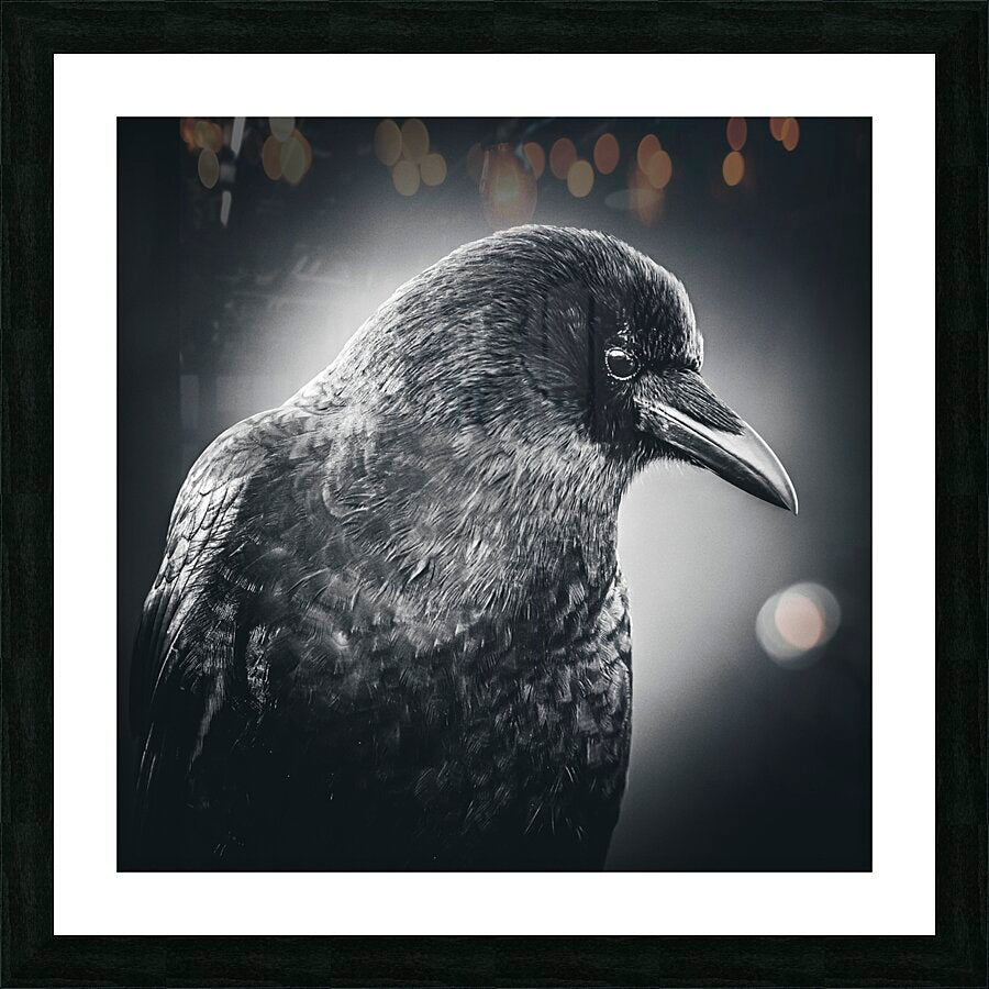 990882 :: Framed Print