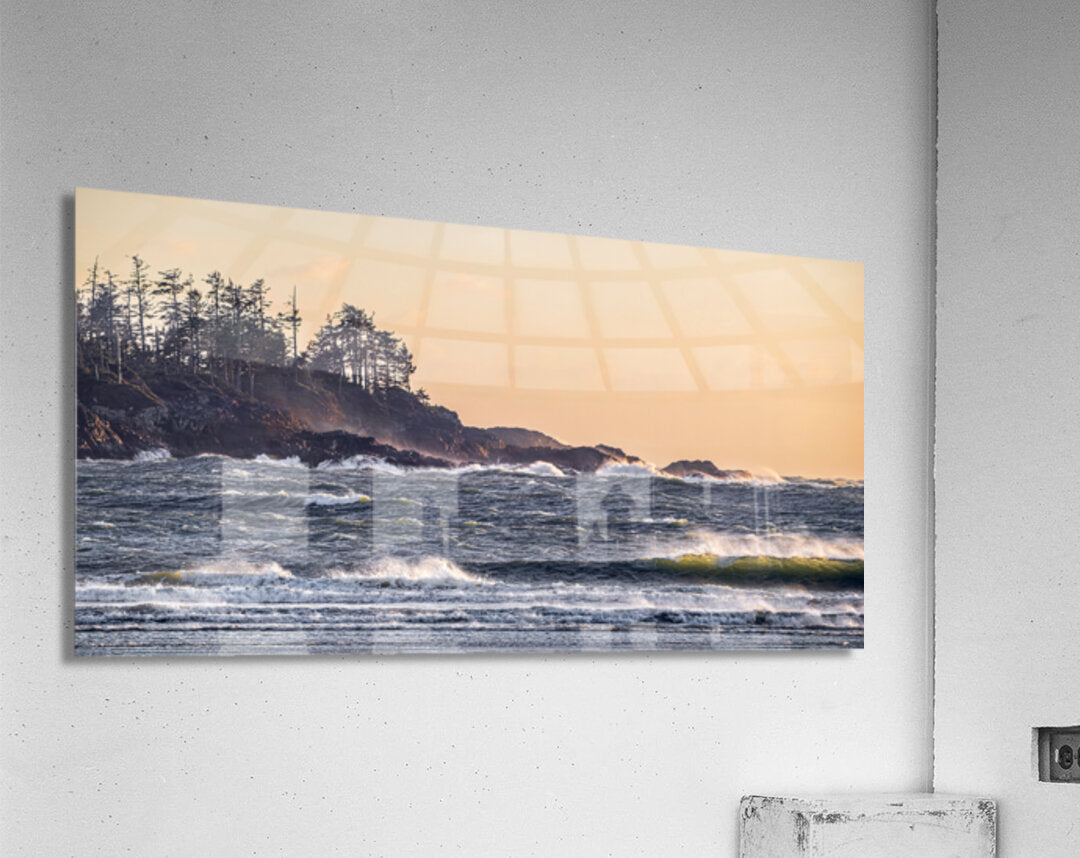 1927012 :: Acrylic Print