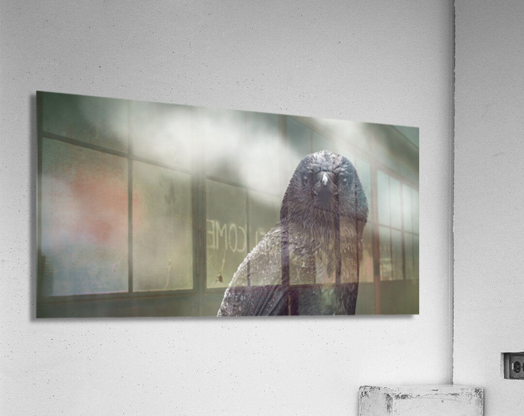 1927323 :: Acrylic Print