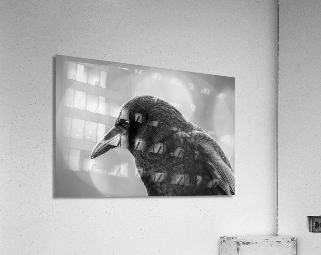 2162485 :: Acrylic Print