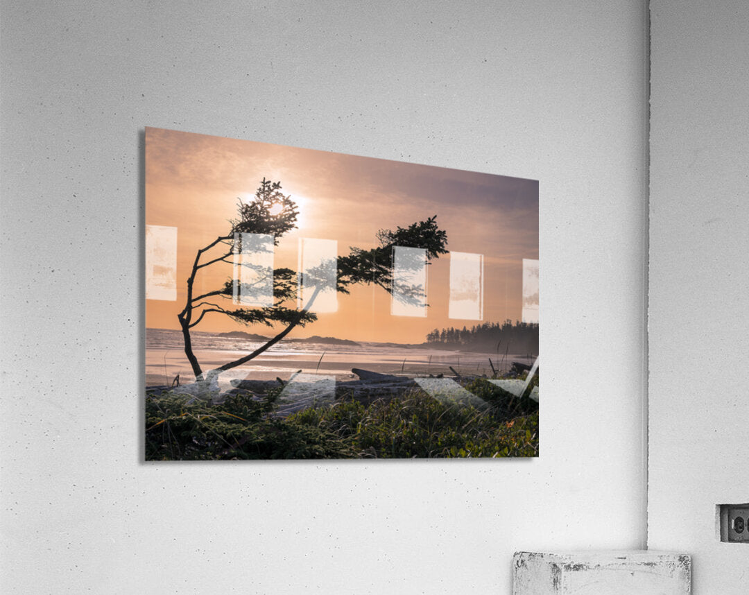 2162530 :: Acrylic Print