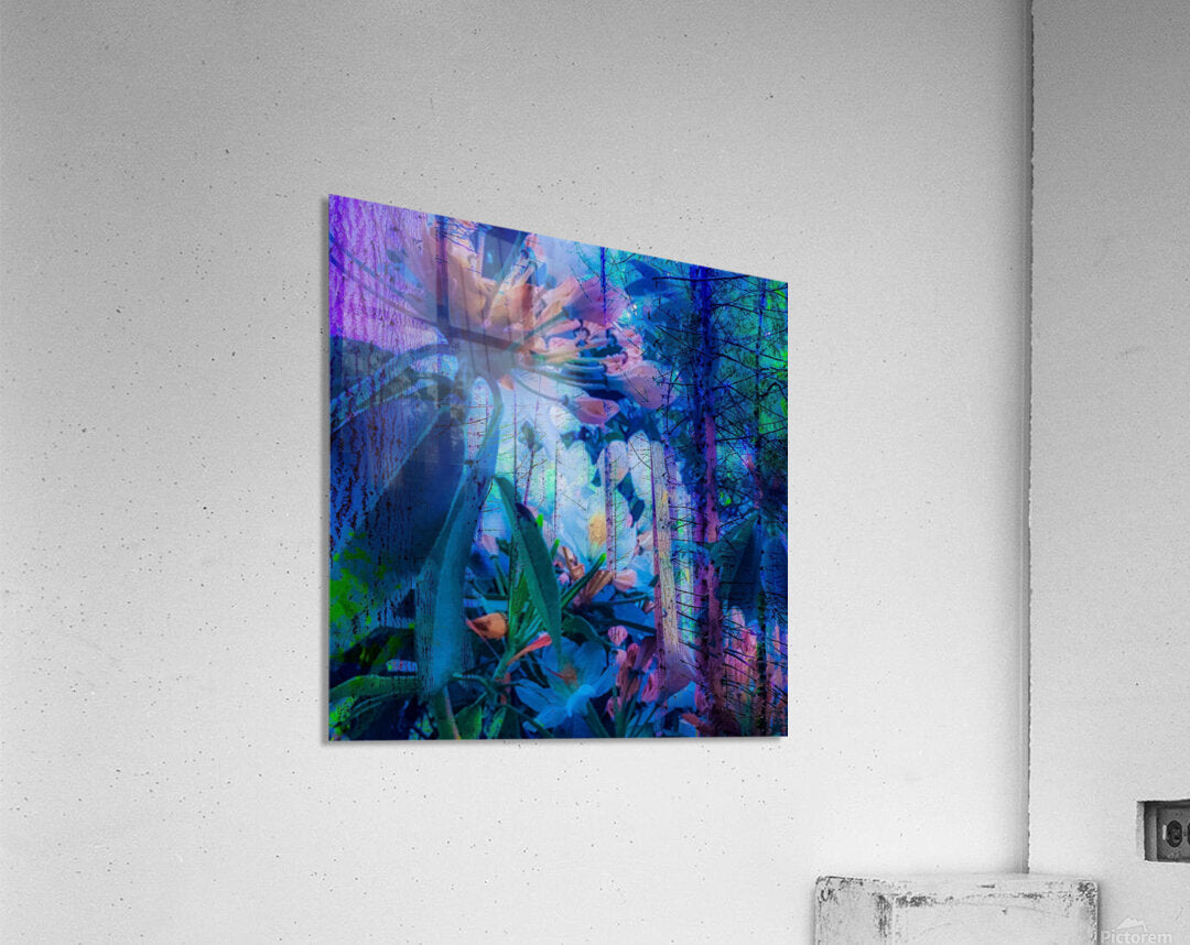 2496057 :: Acrylic Print