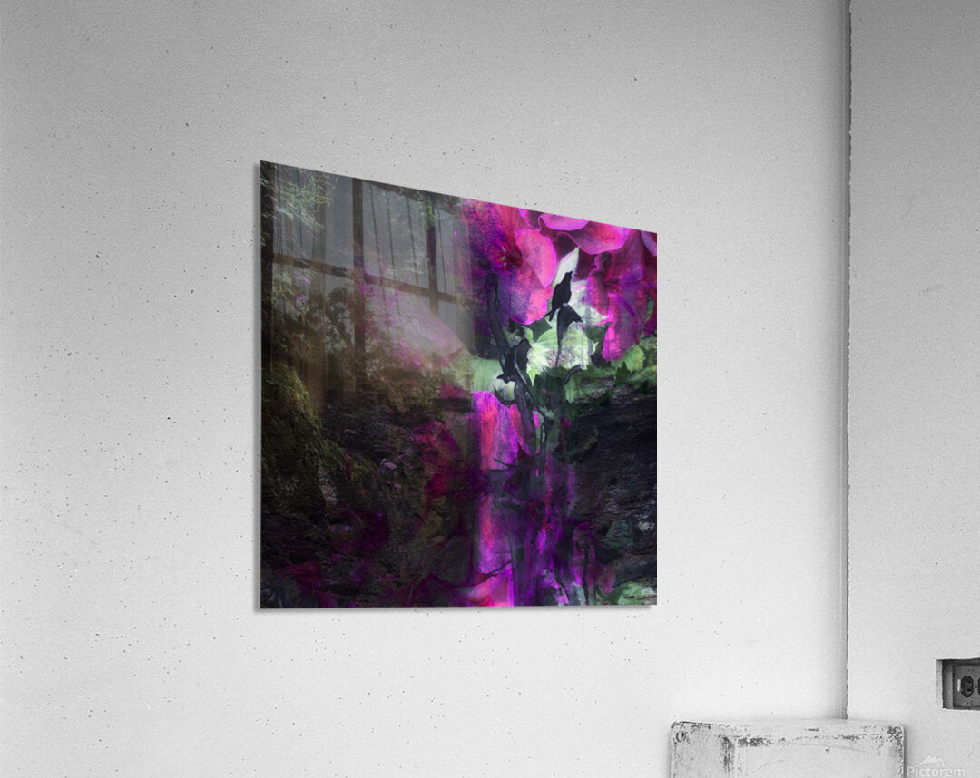 2496348 :: Acrylic Print