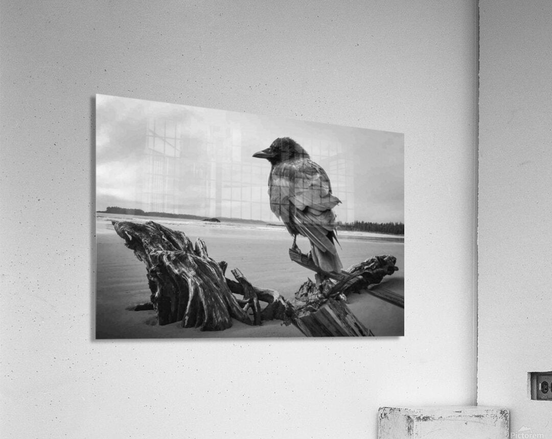 2496601 :: Acrylic Print