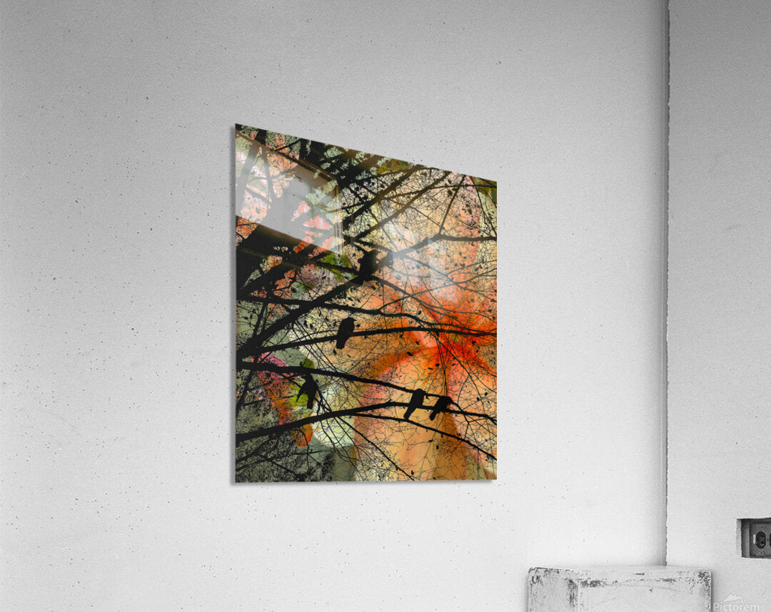 2496673 :: Acrylic Print