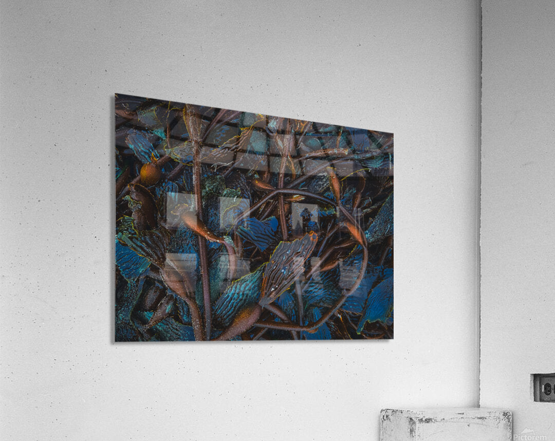 2496713 :: Acrylic Print