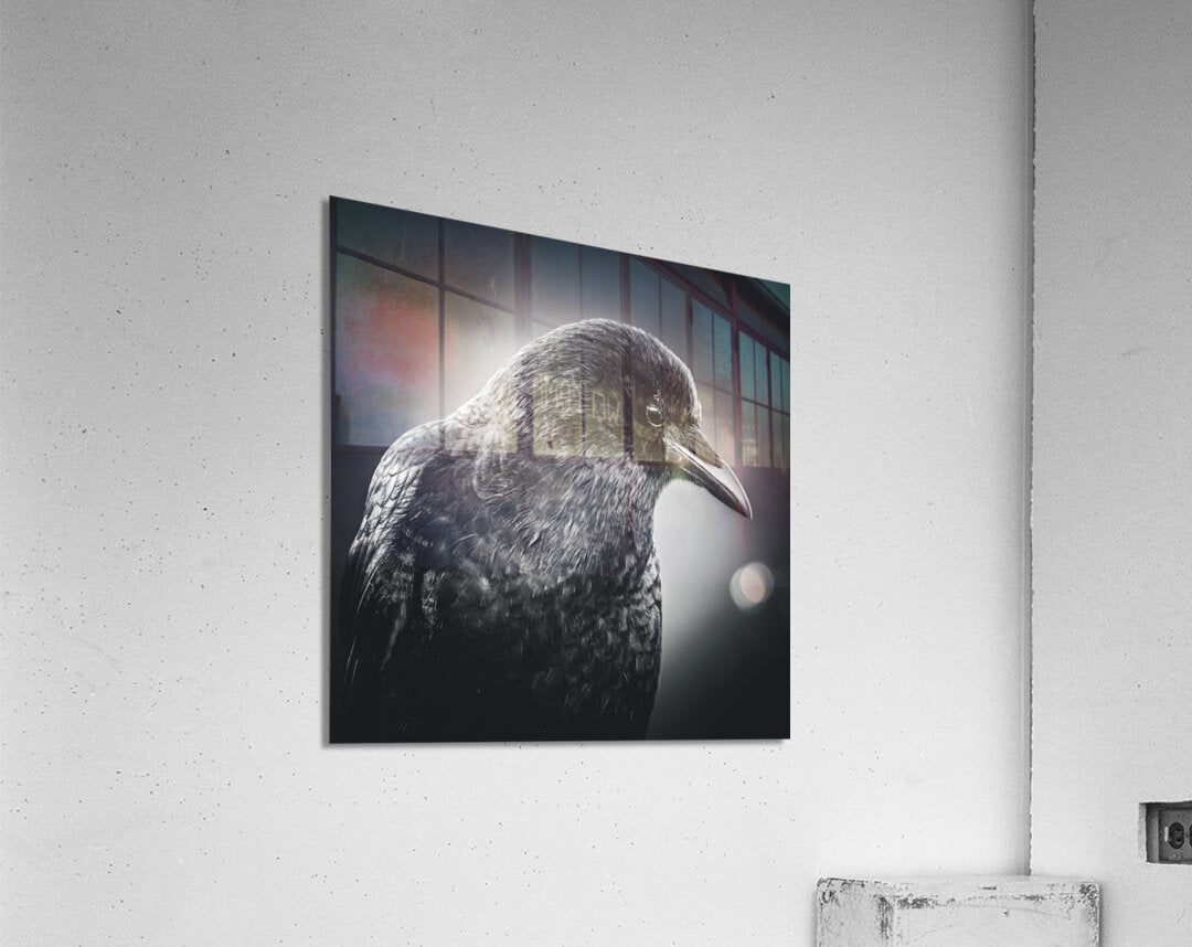 990882 :: Acrylic Print