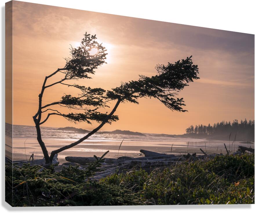 Vibrant tangerine orange sunset sky - golden hour photography