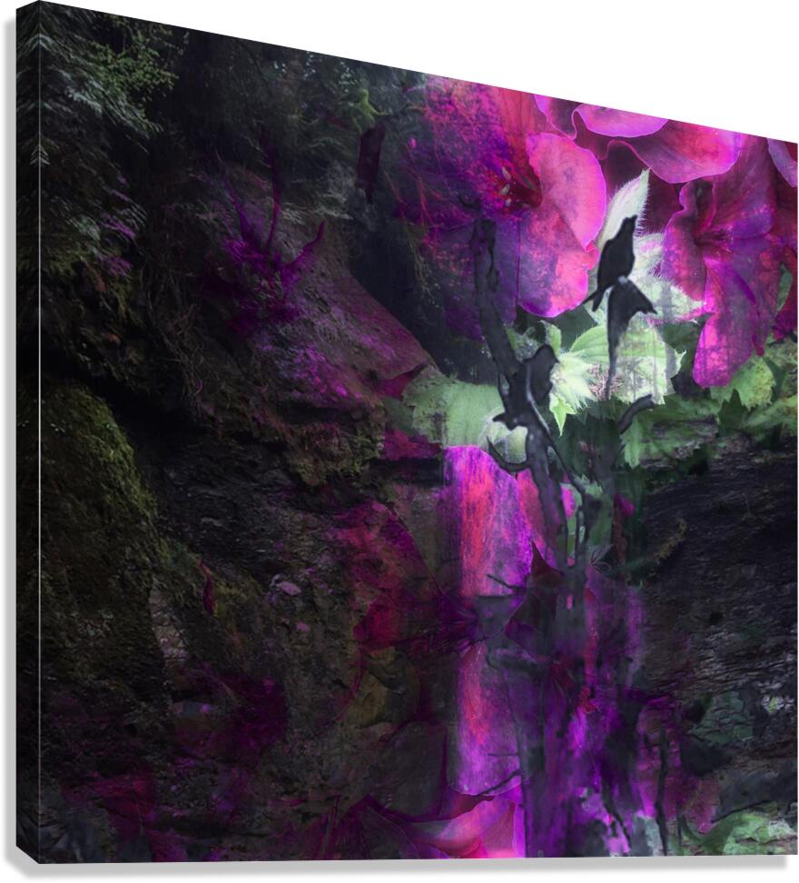 2496348 :: Giclée Stretched Canvas Print