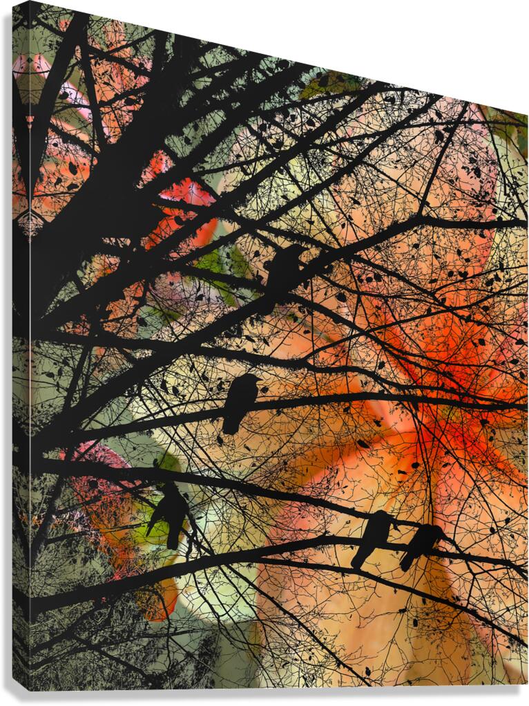 Black crow perched among vibrant orange blossoms - wildlife photography print