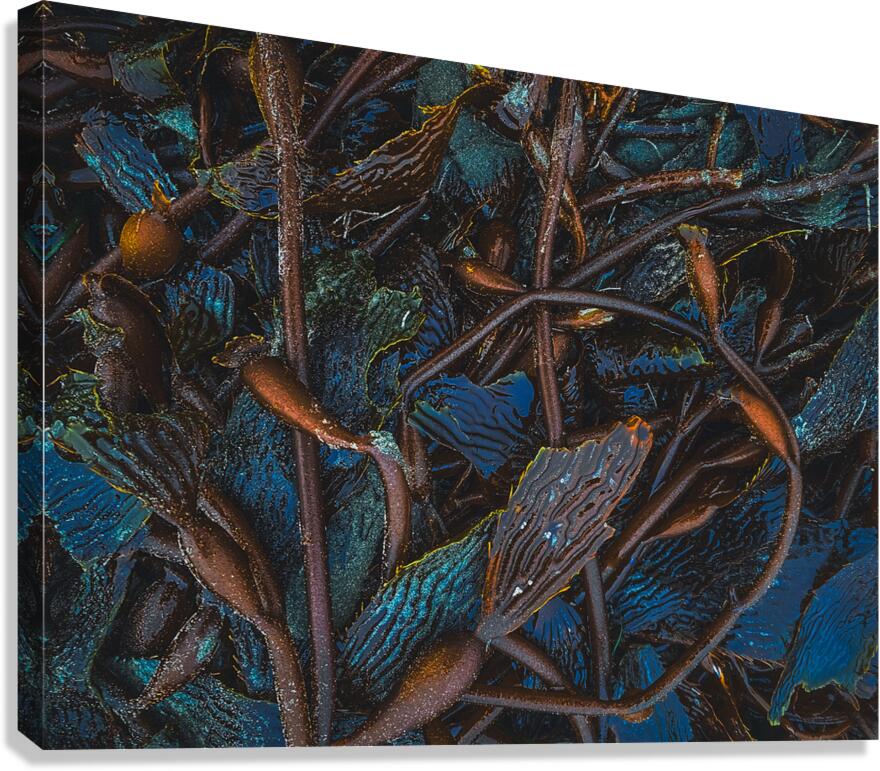 2496713 :: Giclée Stretched Canvas Print