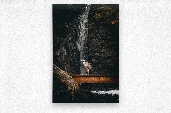 1927011 :: Brushed Metal Print