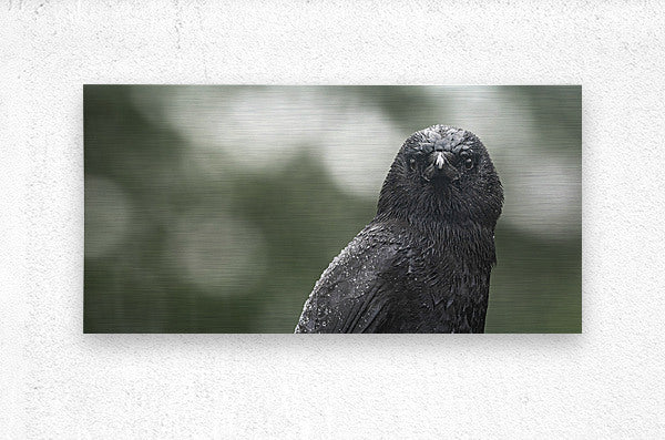 1927323 :: Brushed Metal Print