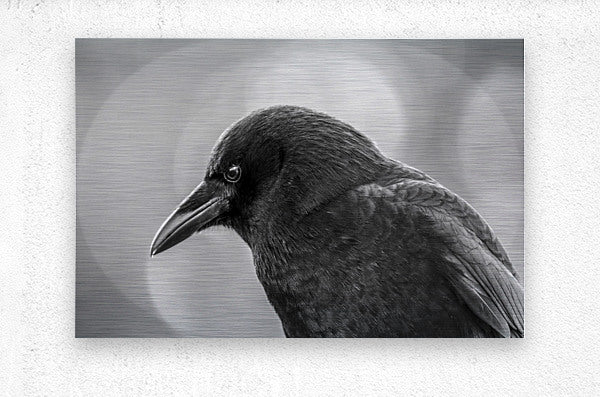 2162485 :: Brushed Metal Print