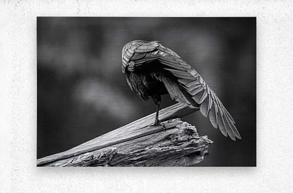 2162492 :: Brushed Metal Print