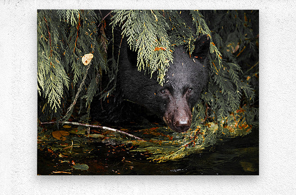 2162496 :: Brushed Metal Print