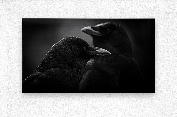 2226309 :: Brushed Metal Print