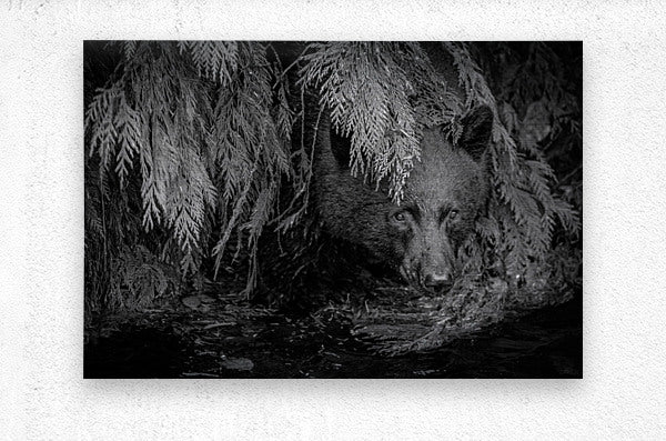 2308210 :: Brushed Metal Print