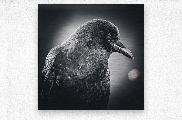 990882 :: Brushed Metal Print