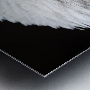 1926991 :: Brushed Metal Print