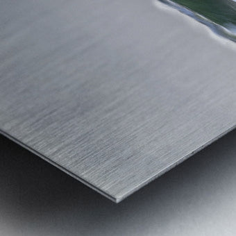 1927316 :: Brushed Metal Print