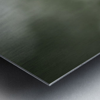 1927323 :: Brushed Metal Print