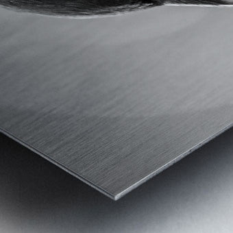 2162485 :: Brushed Metal Print