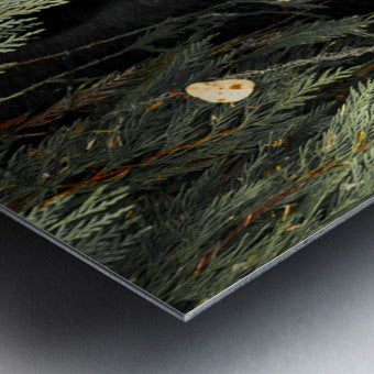 2162496 :: Brushed Metal Print