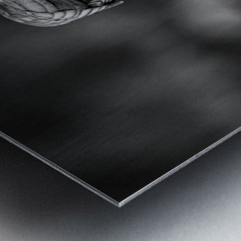 2162499 :: Brushed Metal Print