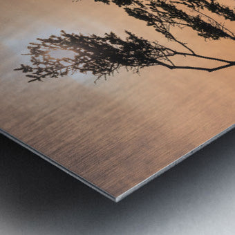 2162530 :: Brushed Metal Print